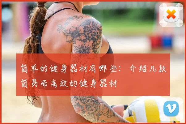 简单的健身器材有哪些:介绍几款简易而高效的健身器材