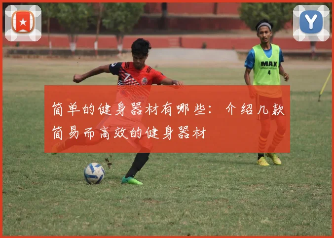 简单的健身器材有哪些:介绍几款简易而高效的健身器材