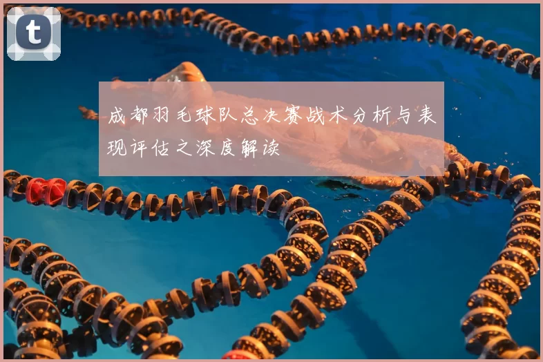 成都羽毛球队总决赛战术分析与表现评估之深度解读