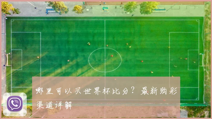 哪里可以买世界杯比分?最新购彩渠道详解