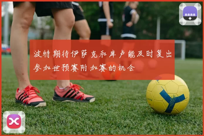 波特期待伊萨克和库卢能及时复出参加世预赛附加赛的机会