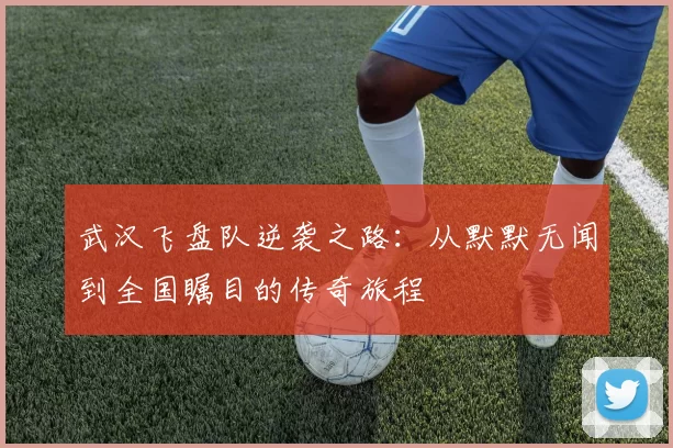 武汉飞盘队逆袭之路：从默默无闻到全国瞩目的传奇旅程