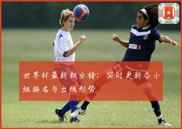 世界杯最新积分榜：实时更新各小组排名与出线形势