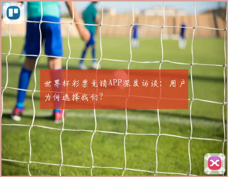 世界杯彩票竞猜APP深度访谈:用户为何选择我们?