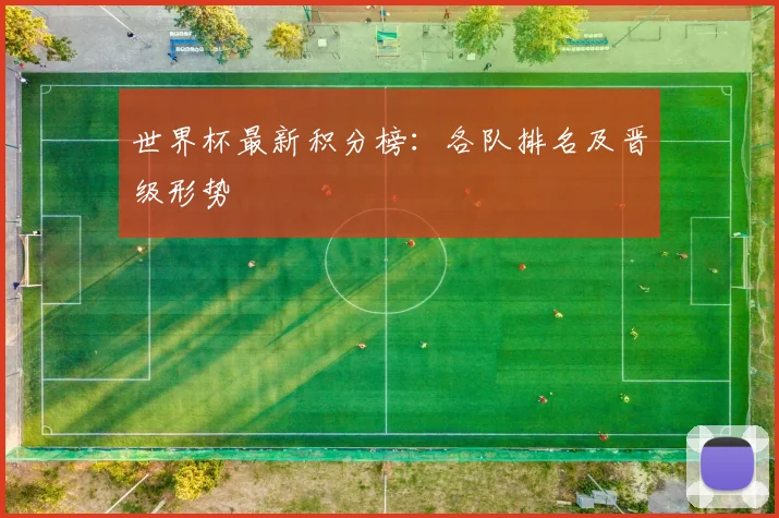 世界杯最新积分榜:各队排名及晋级形势
